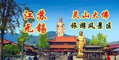 日本大黄视频江苏无锡灵山大佛旅游风景区